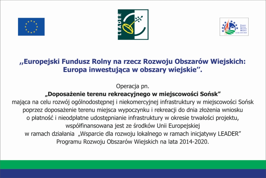 Doposażenie terenu rekreacyjnego w miejscowości Sońsk